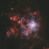 Vespera Pro with Cosmic Filter Bundle