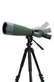Regal M2 100ED