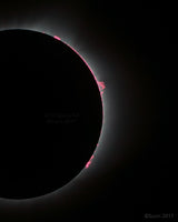 2017 Eclipse Prominences Detail