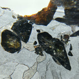 Seymchan 163 grams Pallasite Meteorite Slice